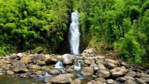 ground view from rocks looking up at Punalau Falls through green trees in Maui, Hawaii, USA